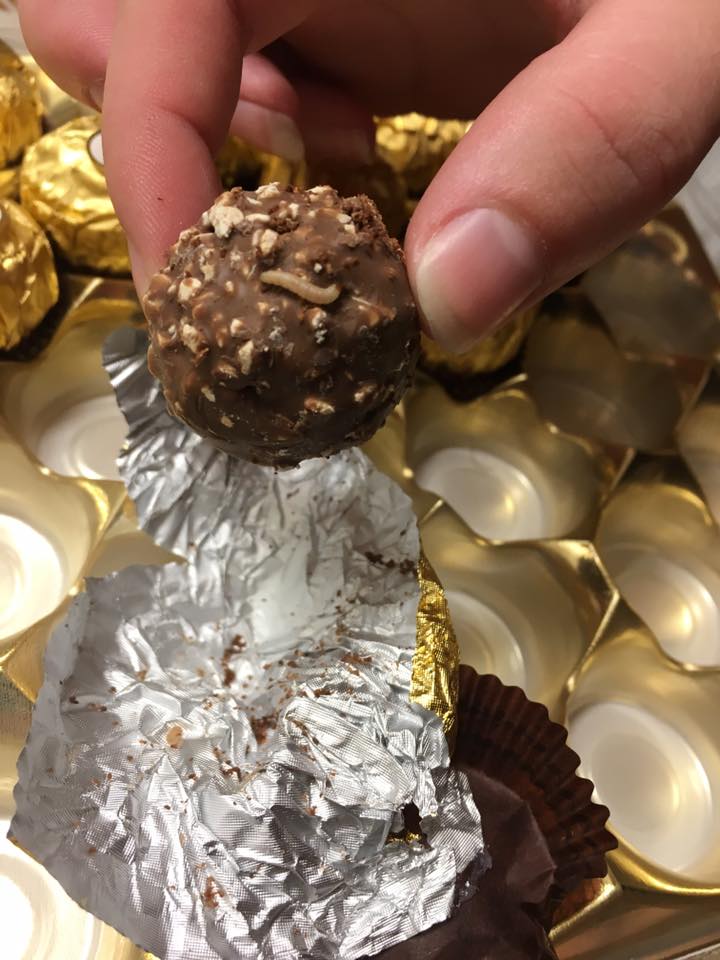 Verify Is A Video Of Insects In Ferrero Rocher Chocolate Real 7650